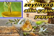 Türk Zeytinyağı Altın Gibi