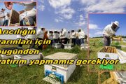 Arı Yetiştiricileri Birliği İstanbullu Arıcıların Yanında