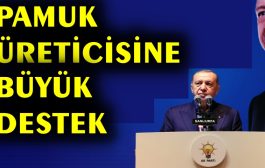 Cumhurbaşkanı Erdoğan'dan Pamuk ve Ayçiçeği Üreticilerine Müjde