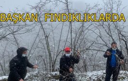 Meclis Başkanı Arslantürk:Yağan Kar,Fındıklıklara Olumsuz Değil Olumlu Etki Yapacak