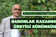 FINDIK BARONLARI SERVETLERİNE SERVET KATIYORLAR