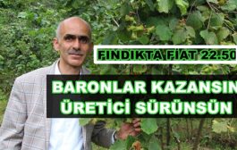 FINDIK BARONLARI SERVETLERİNE SERVET KATIYORLAR