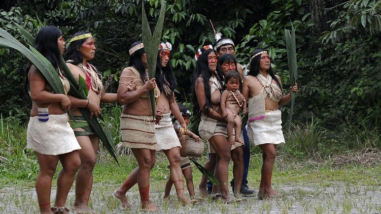 Amazonlarda Salgın Yayılıyor: Ekvador Yerlilerinde ilk Covid-19 Vakası Görüldü