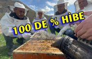 Arıcılara %100 Hibe