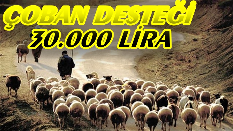 ÇOBAN İÇİN 30.000 LİRA DESTEKLEME