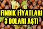 FINDIK FİYATLARI 3 DOLAR SEVİYESİNİ AŞTI...
