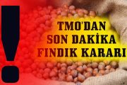 TMO'DAN SON DAKİKA FINDIK KARARI...