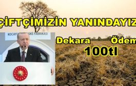 Cumhurbaşkanı Erdoğan Çiftçiye Müjdeyi Zonduldak'tan Verdi