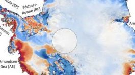 Buzullardaki Erimeyi Ortaya Koyan Uydu Görüntüleri