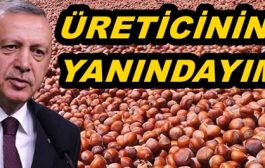 Cumhurbaşkanı Erdoğan: Fındık Üreticisinin Beklentilerini Biliyorum...