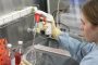 Koronavirüs Aşısını Kendi Üzerlerinde Deneyen Rus Bilim İnsanlarında Antikor Tespit Edildi