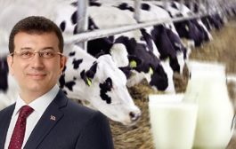 İmamoğlundan  İstanbuldaki Süt Üreticilerine  Büyük Desdek